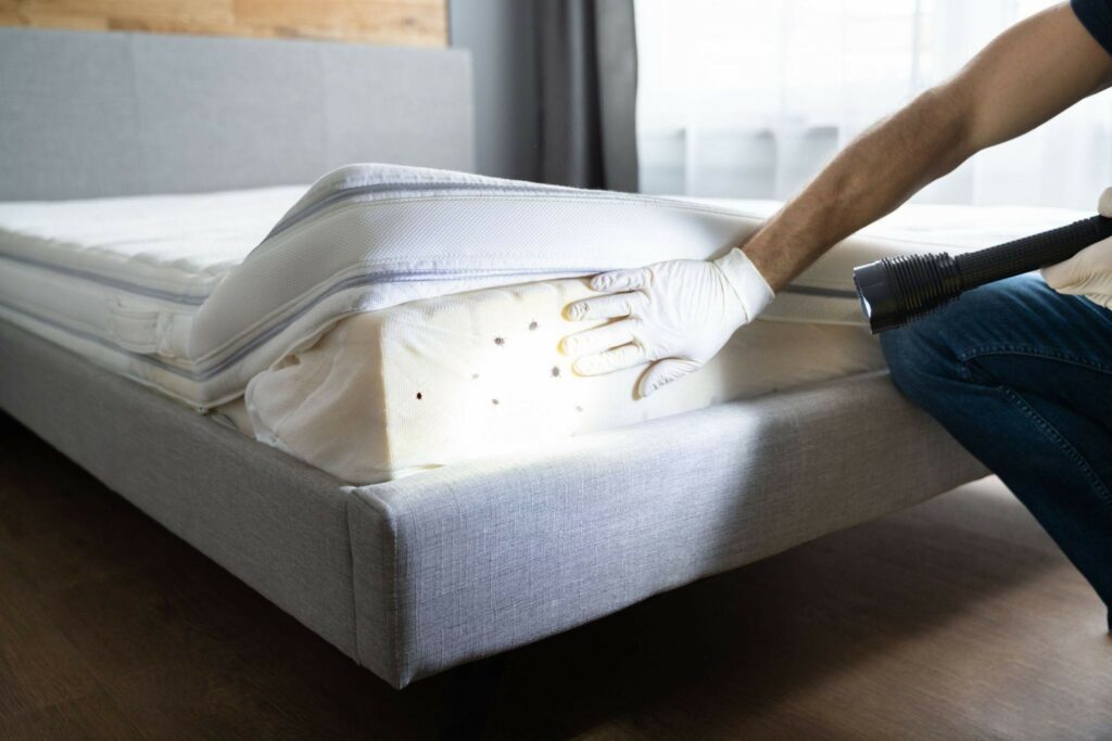 a hand lifting up the sheet on a mattress and shining a flashlight to show where bed bugs could be
