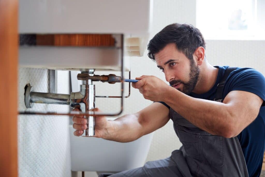 image - Bug-Proof Your Home: How Moisture Control Helps Pest Control - Bug Control Specialists